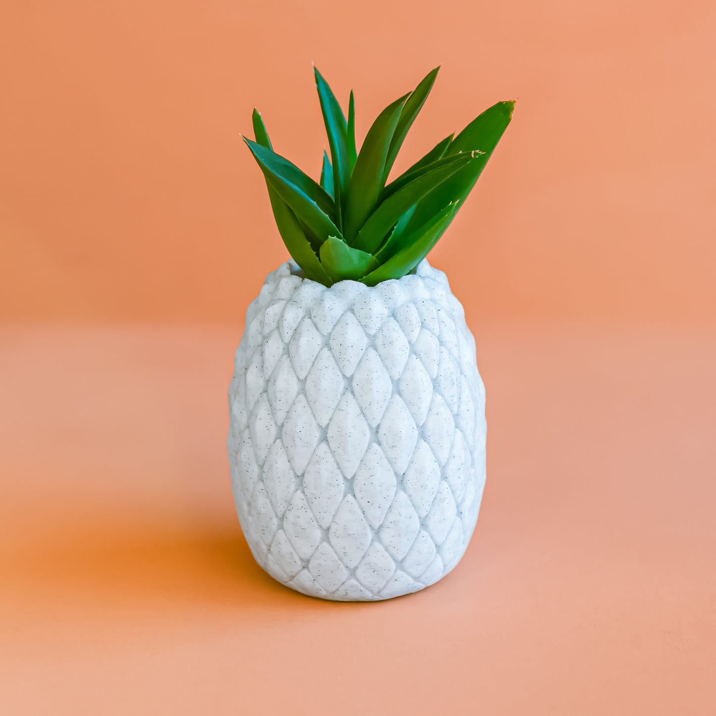 3D Printed Pineapple Planters