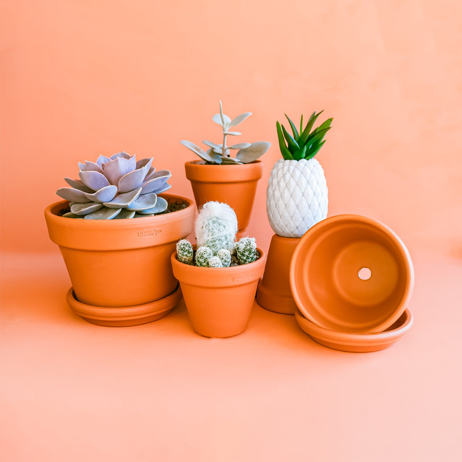 Planters and Pots