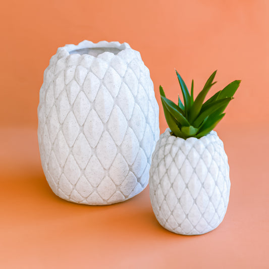 3D Printed Pineapple Planters